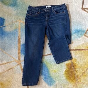 GAP Blue Straight Leg Jeans Classic Fit